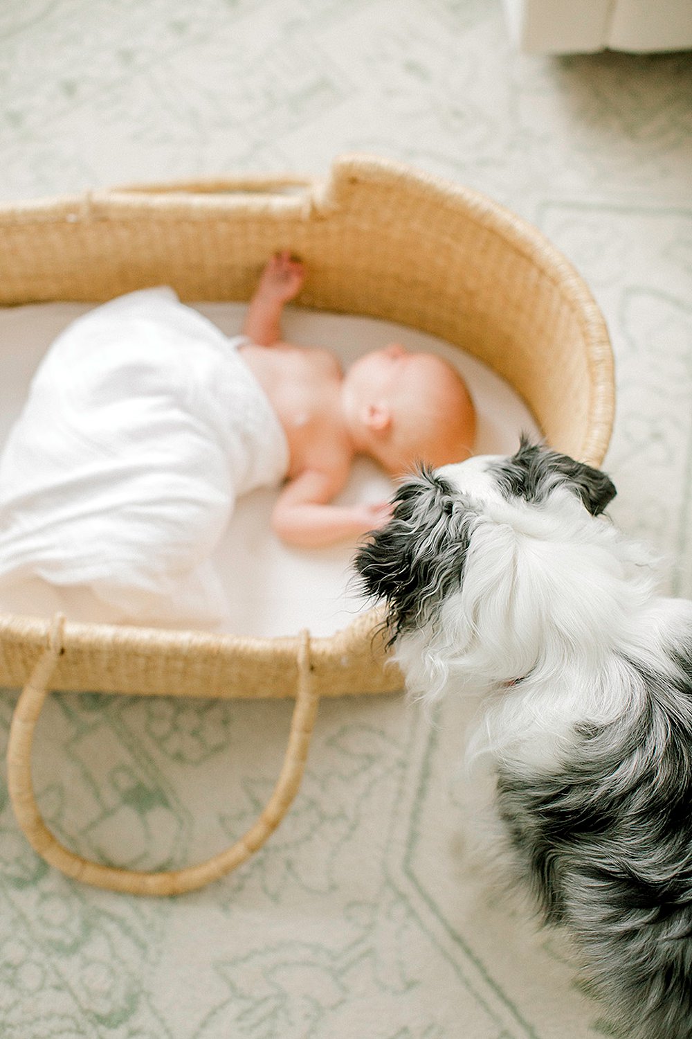 Kara Powers Photography, Richmond Newborn Photographer, In-Home Newborn Session